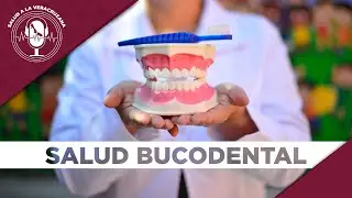 Todo lo que debes saber sobre tu salud bucodental ☝🏻