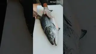 Salmon To Fillet Salmon | Salmon Cutting Skills #shorts