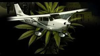 HQ STEPHEN STEVEN STILLS -  TREE TOP TREETOP FLYER Enhanced HQ AUDIO MIX