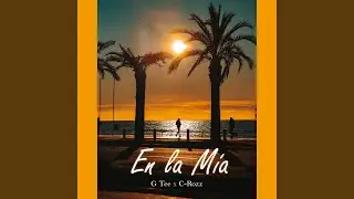 En la M&iacute;a