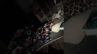 @cryxoticcRealz @NIGHTTIME_Clips happy new years drunk sister 