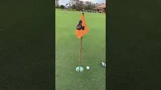 A Day of Golf at Walt Disney World!