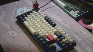 Keychron K8 Pro + Tecsee Sapphire (Snoopy / Charlie Brown Theme) | Sound Test