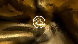 Arash Shadram - In A Strange Land