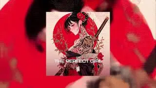 THE PERFECT GIRL - ADITII