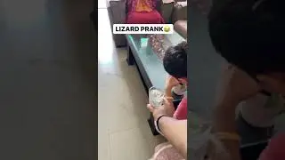 Lizard prank🦎🦎🦎🦎🦎🦎🦎🦎 glass water