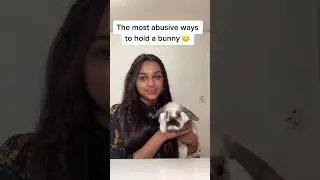 Most abusive ways to hold a bunny&hellip;