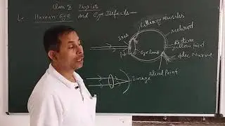 Class 10 Human Eye and Eye Defects