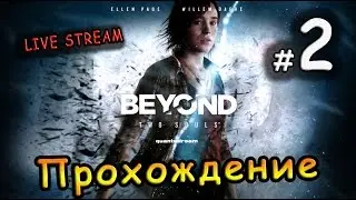 Live Stream 