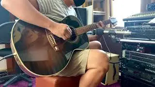 Takamine TSA-800  Solid