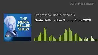 Meria Heller - How Trump Stole 2020