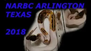 NARBC Arlington Texas 2018 -  Reptile Show - Day 1