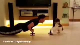 Ruff & BUFF - Puppy powers through push ups with trainer