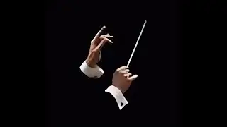 Wow, a hifi 3-way analog active crossover is like an orchestra conductor-- Sublime Acoustics K231
