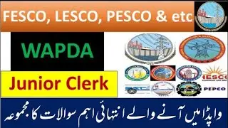 WAPDA - Junior Clerk Past Papers || FESCO, PESCO Past Papers || Important Wapda Past Papers