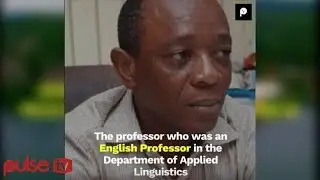 Nigerian Professor Caught On Camera Trying To Incite Nigerians against Ghanaians Dismissed From Uew