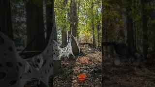Creepy Crawly Spider Decorations