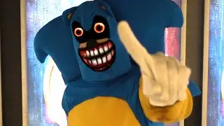 SONIC.IRL 2