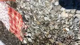 Аше.Шторм.