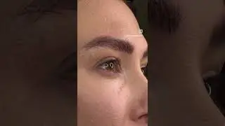#elitepermanentmakeup #permanetmakeup #pmu #makeup #holidayspecial #microblading #powderbrows