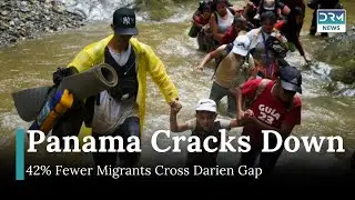 300,000 Migrants Cross Darien Gap in 2024, But Numbers Drop by 42% | DRM News | AM1I