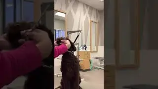 Помощь в поддержании морды собаки во время стрижки