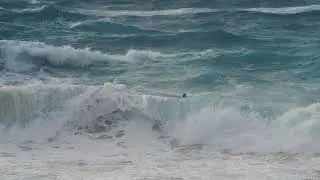 Swimming in Massive Waves!