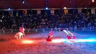 El caballo de las arenas animal park