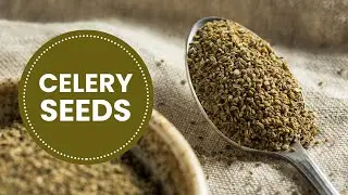 How to Use Celery Seeds for Health and Flavor