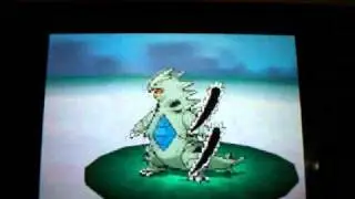 How to catch Tyranitar in Pokemon Black/White