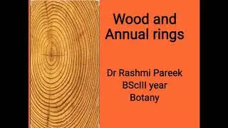 wood and annual rings