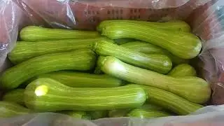 valores que estamos vendendo nosso pimentão, pepino e abobrinha menina