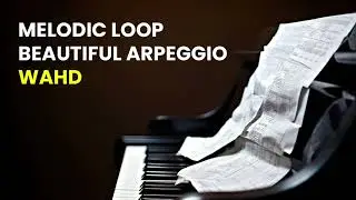 MELODIC LOOP BEAUTIFUL ARPEGGIO WAHD - ARYANATHAN