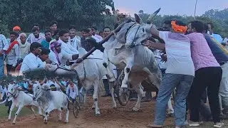 Soheb Patel Nandi vs Chandu bhaiya JCB takala  . Nandura pat . 2 number ki bail jodi 