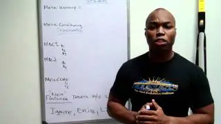 Meta Burn fat loss excite your metabolism