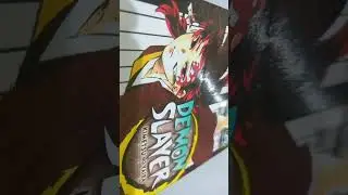 Demon slayer manga volume 20