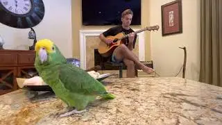 Shape of My Heart (feat Matt)