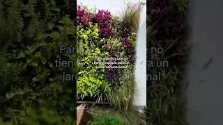 Crea jardines verticales. M&aacute;s info aqu&iacute;: [ 