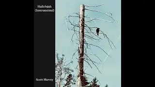 Hallelujah - Leonard Cohen (Scott Harvey instrumental cover)