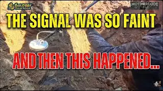 The Signal Was So Faint I Almost Walked Away... Then This Happened