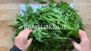 Ramsløkolje
