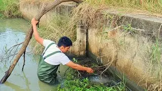 Action Remove Debris Clogged Culvert Drain In Canal For Agriculture