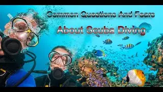 Common questions and fears about Scuba Diving