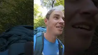 Camino Day 1.2: Walking the Pyrenees, animals, languages and being in the mountains