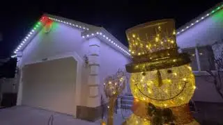 Jellyfish Lighting - Christmas Lights -  Holly Lights