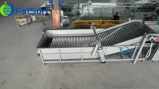 Sweet Potatoes Cleaning Drying Grading and Packing Line