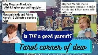 Meghan's parenting skills and her children needs, is she a good parent? can she improve?