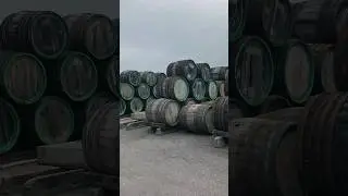 Самая большая Мадерная площадка в Европе #wine #winegirl #вино #коктебель #мадера