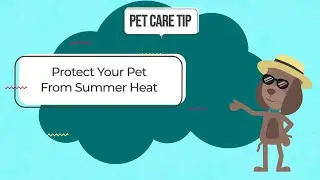 Pet Care Tips: Summer Heat