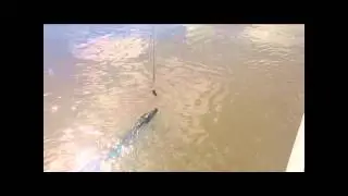 Jumping Crocodiles on the Adelaide River | SmarterTravel
